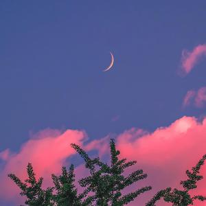 臭鸡蛋弱网过检测防封
