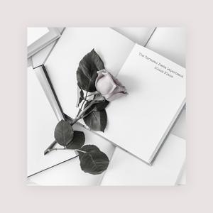 臭鸡蛋弱网过检测防封
